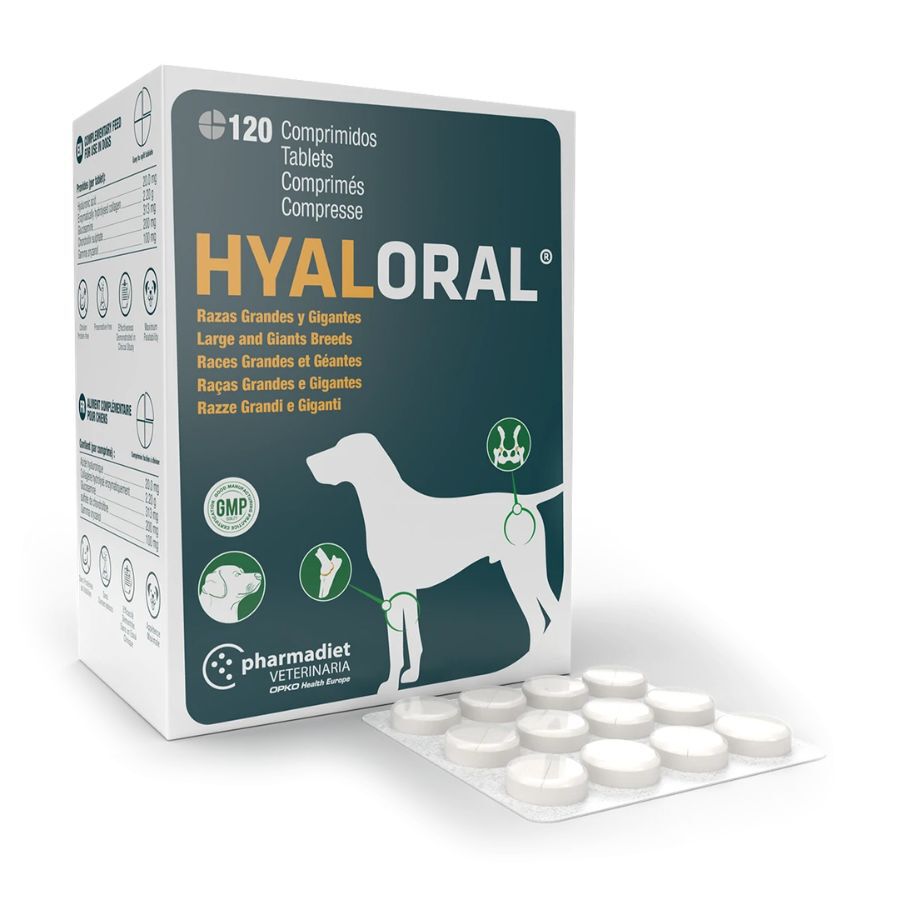 Pharmadiet Hyaloral Condroprotetor em comprimidos para c&atilde;es de ra&ccedil;as grandes e gigantes , , large Imagem n&uacute;mero 1