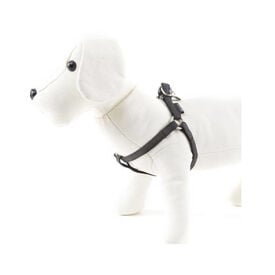 MacLeather Classic peitoral preto para cães