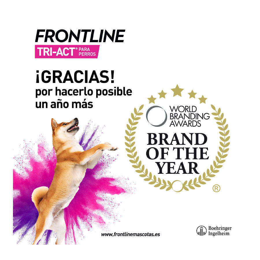 Frontline Tri-Act Pipetas Antiparasit&aacute;rias para c&atilde;es 10 - 20 kg, , large Imagem n&uacute;mero 7
