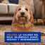 Ceva Douxo Spa 2 em 1 Shampoo Detangler Cão, , large Indicador imagem número 5