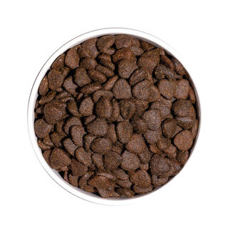 Ownat Just Grain Free Adult Cordeiro ração para cães