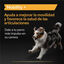 Pro Plan Mobility+ Suplemento para cães, , large Indicador imagem número 3
