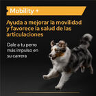 Pro Plan Mobility+ Suplemento para cães, , large image number null