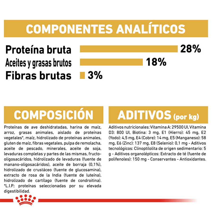 7.5 kg Royal Canin Adult Yorkshire Terrier ra&ccedil;&atilde;o para c&atilde;es, , large Imagem n&uacute;mero 6