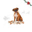 1 pack x 39 uns. Wonder Christmas Caixa de Presente com Snacks de Couro Prensado para C&atilde;es, , large Indicador imagem n&uacute;mero 1