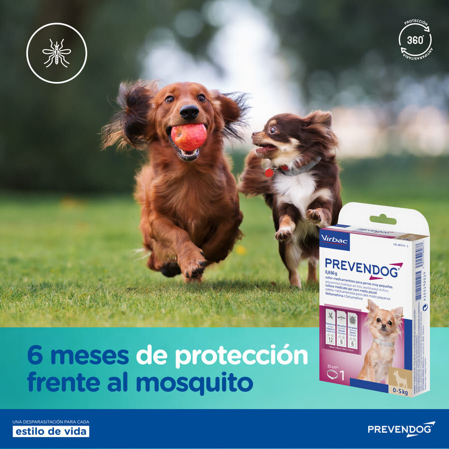 Virbac Prevendog Coleira Antiparasit&aacute;ria para c&atilde;es de porte m&eacute;dio, , large Imagem n&uacute;mero 7