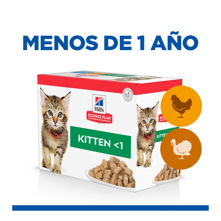 12 saquetas x 85 g Hill's Science Plan Kitten Frango e Peru em Molho Sach&ecirc; para Gatos, , large Imagem n&uacute;mero 2