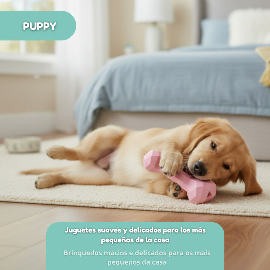 Tootoy! Puppy Ossinho Diamond para cachorros, , large Imagem n&uacute;mero 5