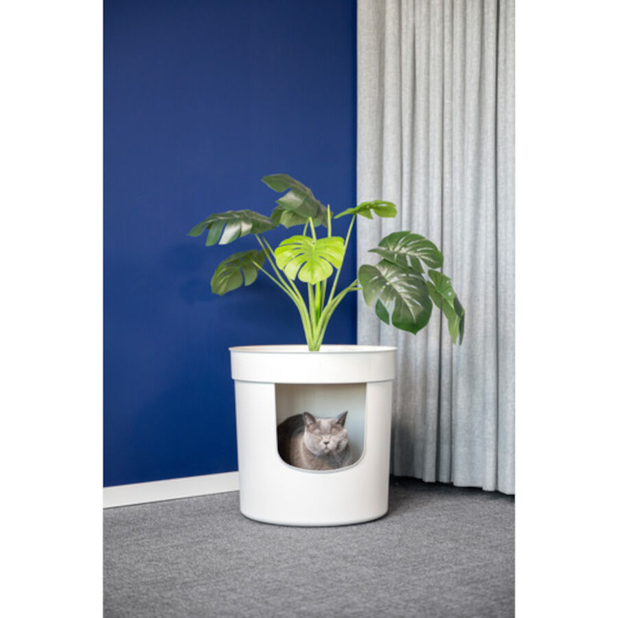 Caixa de areia para gatos Nova Clean Planter, , large Imagem n&uacute;mero 4