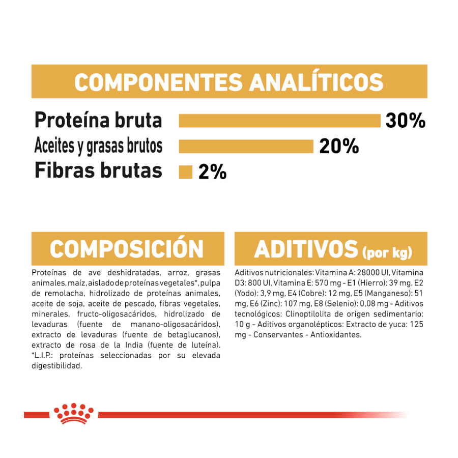 Royal Canin Puppy Chihuahua ra&ccedil;&atilde;o para c&atilde;es , , large Imagem n&uacute;mero 8