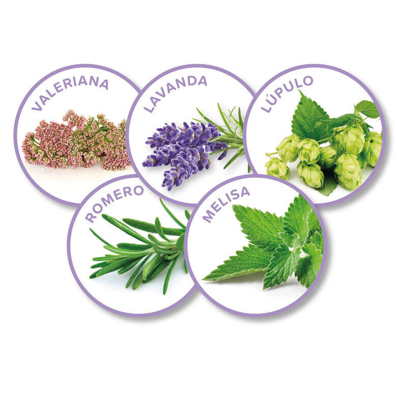 Beaphar Calming Collar Relajante para gatos4 Imagem n&uacute;mero 4