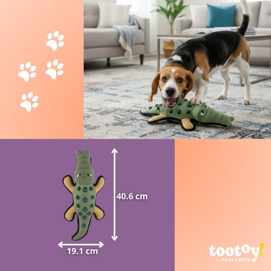 Tootoy! Comfort Brinquedo crocodilo resistente para c&atilde;es, , large Imagem n&uacute;mero 5