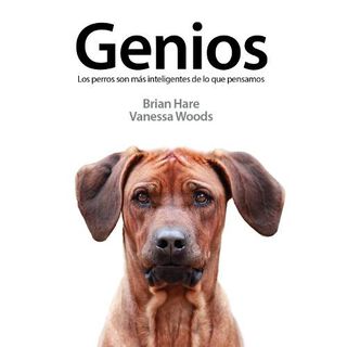 Kns Os cães são mais inteligentes do que pensamos livro