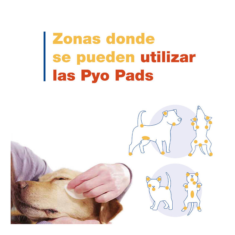 Douxo Pya Algodão Desinfetante para cães e gatos ,  Imagem número 5 Douxo Pya Algodão Desinfetante para cães e gatos , , large Imagem número 5