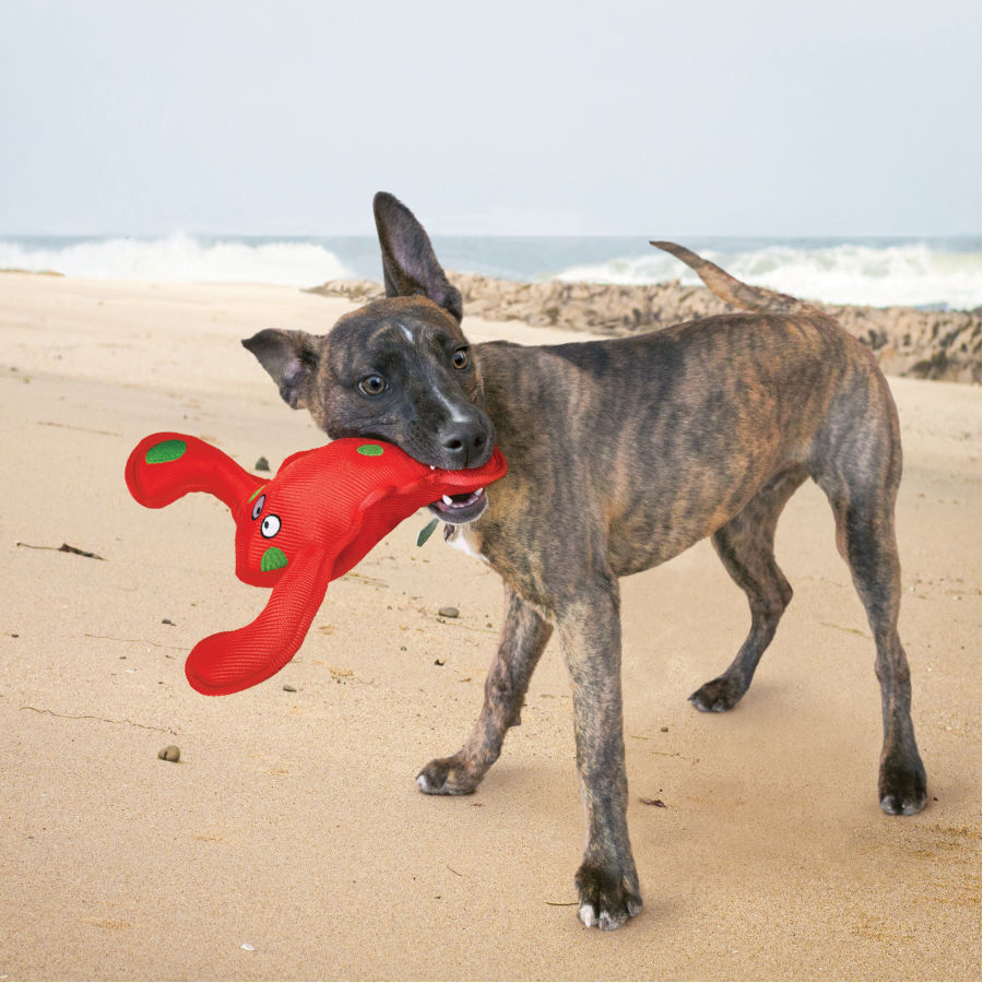 Kong Belly Flops Brinquedo Lagosta para c&atilde;es, , large Imagem n&uacute;mero 2