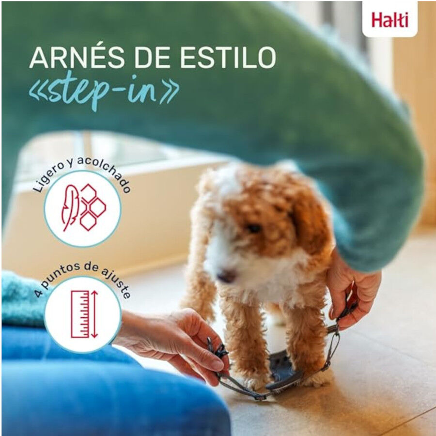Halti Peitoral Anat&oacute;mico Cinza para C&atilde;es Pequenos, , large Imagem n&uacute;mero 4
