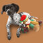 Wonder Christmas Macaco de Circo peluche de Natal para cães , , large Indicador imagem número 3