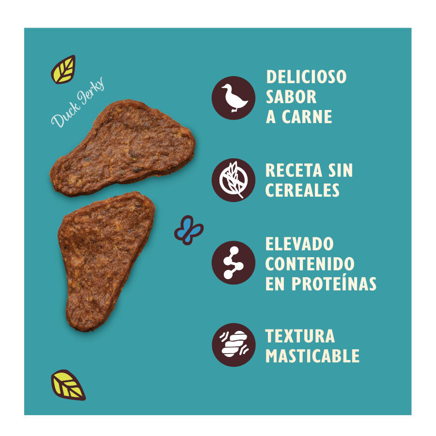 70 g Lily's Kitchen Filetes Mini de Pato para c&atilde;es, , large Imagem n&uacute;mero 2