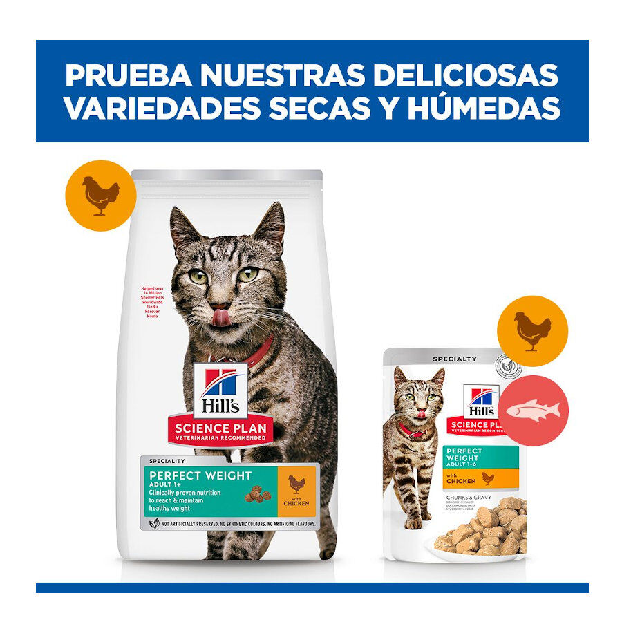 7 kg Hill's Science Plan Perfect Weight Adult frango ra&ccedil;&atilde;o para gatos, , large Imagem n&uacute;mero 8