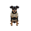 Gotoo Casaco com Padr&atilde;o Tartan aos Quadrados para c&atilde;es, , large Indicador imagem n&uacute;mero 7