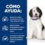 48 latas x 370 g Hill's Prescription Diet Urinary Care Frango lata para cães Pack poupança!, , large Indicador imagem número 4