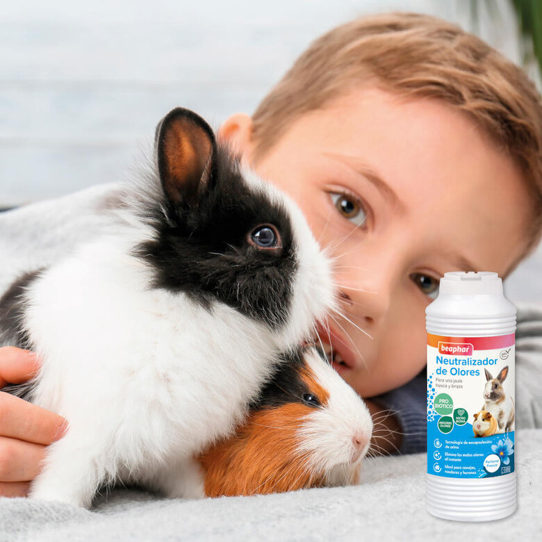Beaphar Neutralizador de odores para roedores,  Imagem número 4 Beaphar Neutralizador de odores para roedores, , large Imagem número 4