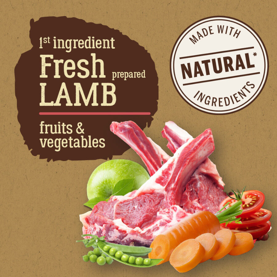 12 kg True Origins Pure Adult Medium Maxi Lamb Ra&ccedil;&atilde;o para c&atilde;es, , large Imagem n&uacute;mero 2