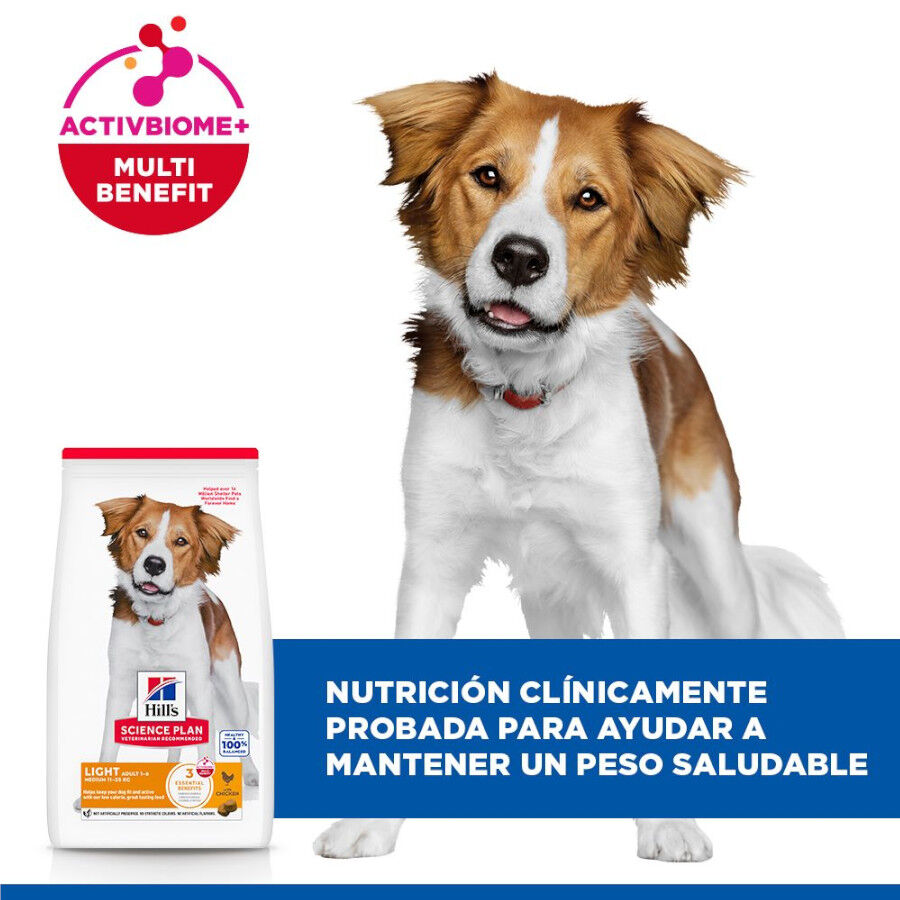 14 kg Hill's Science Plan Adult Medium Frango ra&ccedil;&atilde;o para c&atilde;es, , large Imagem n&uacute;mero 4