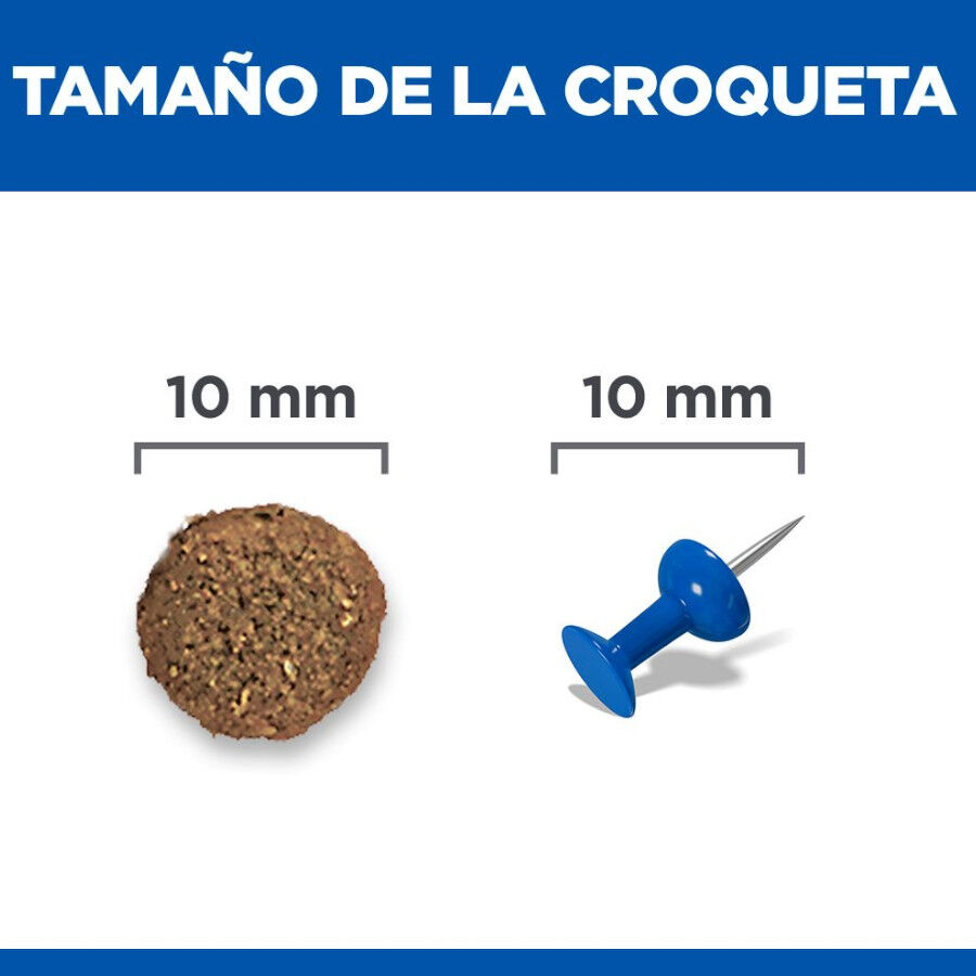 Hill's Puppy Medium Science Plan Perfect Digestion Frango ra&ccedil;&atilde;o, , large Imagem n&uacute;mero 4