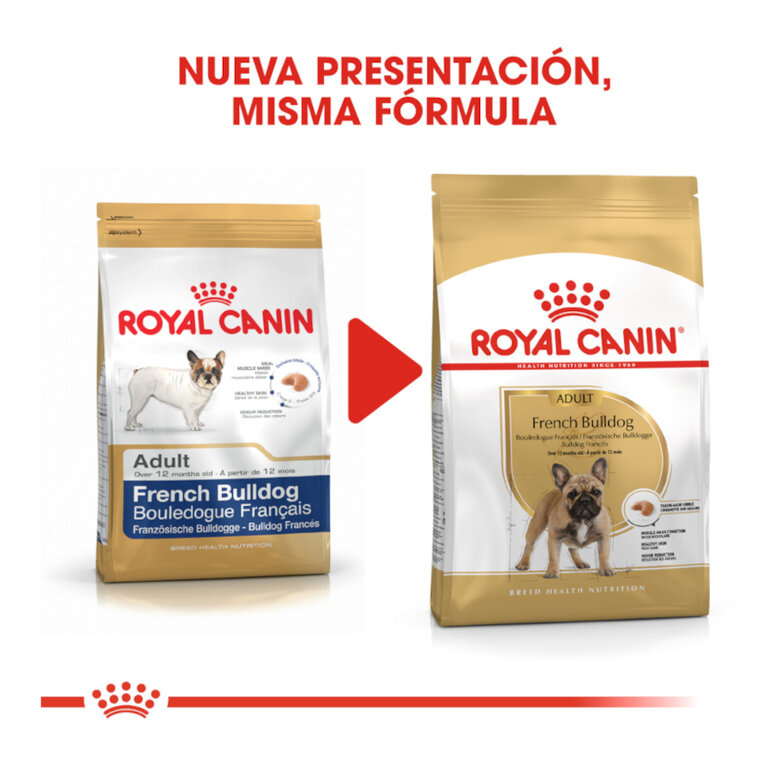 Royal Canin Adult Buldogue Francês ração para cães, , large image number null