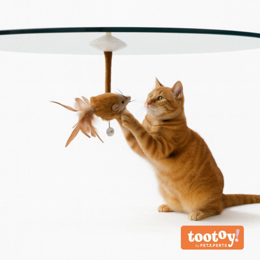 Tootoy! Interactive & Stimulate Rato com Pega para gatos, , large Imagem n&uacute;mero 9