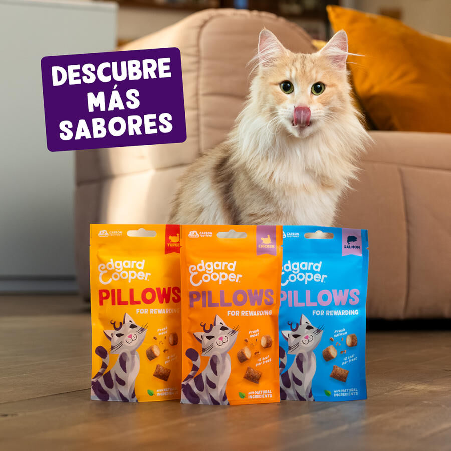 60 g Edgard & Cooper Pillows Snack de frango para gatos, , large Imagem n&uacute;mero 6