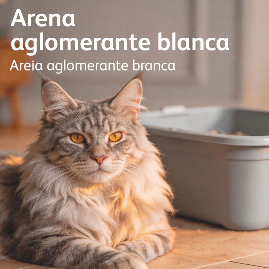 10 L Nova Clean Marselha Areia Aglomerante para gatos, , large Imagem n&uacute;mero 6