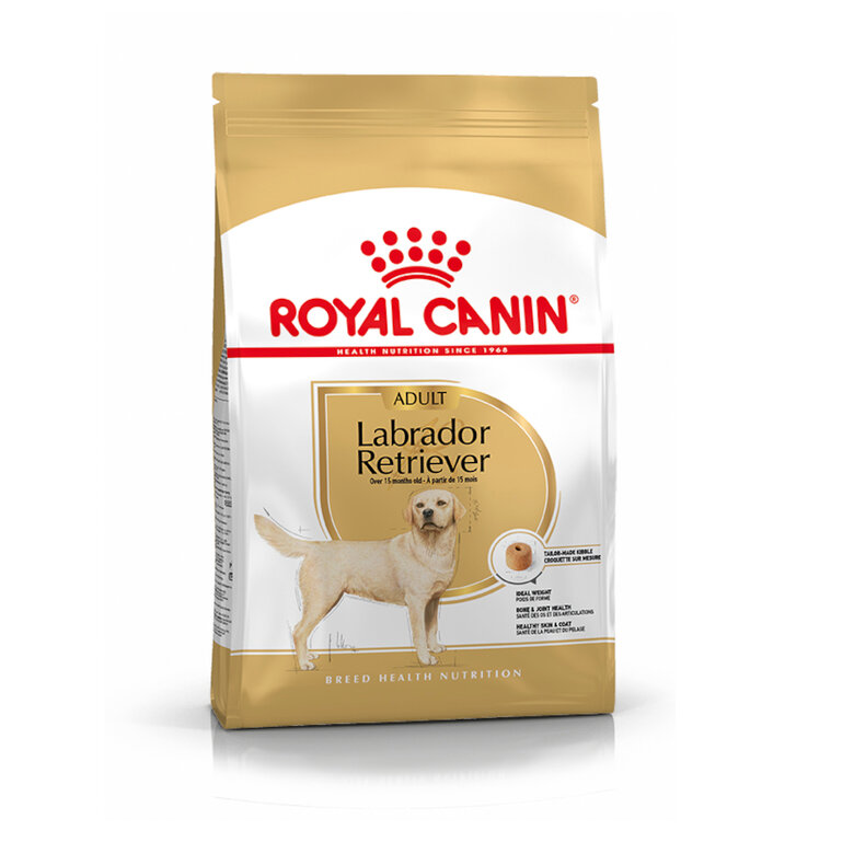 Royal Canin Adult Labrador Retriever ração para cães, , large image number null