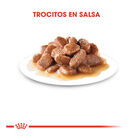 Royal Canin Feline Sterilised Saquetas com molho para gatos, , large image number null