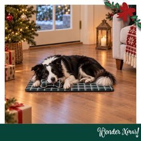 Wonder Christmas Conjunto de manta e almofada em forma de osso para c&atilde;es