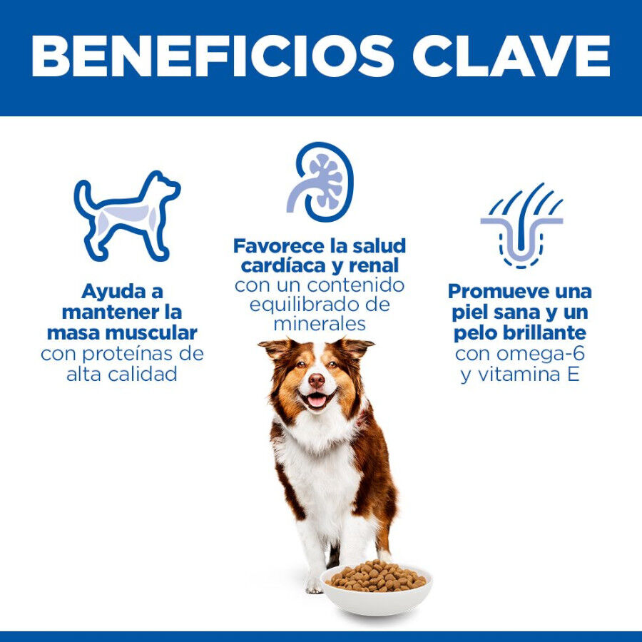 2 x 14 kg Hill's Science Plan Medium Mature Adult Frango ra&ccedil;&atilde;o para c&atilde;es Pack poupan&ccedil;a!, , large Imagem n&uacute;mero 5