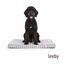 Leeby Colch&atilde;o riscas largas para c&atilde;es, , large Indicador imagem n&uacute;mero 7