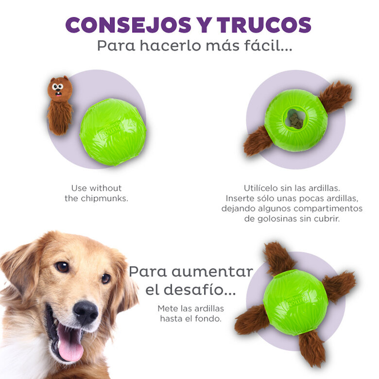 Outward Hound Snuffle n’ Treat Bola Interativa Porta-Snacks para cães,  Imagem número 4 Outward Hound Snuffle n’ Treat Bola Interativa Porta-Snacks para cães, , large Imagem número 4