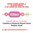 Royal Canin Kitten Persa ração para gatos, , large image number null
