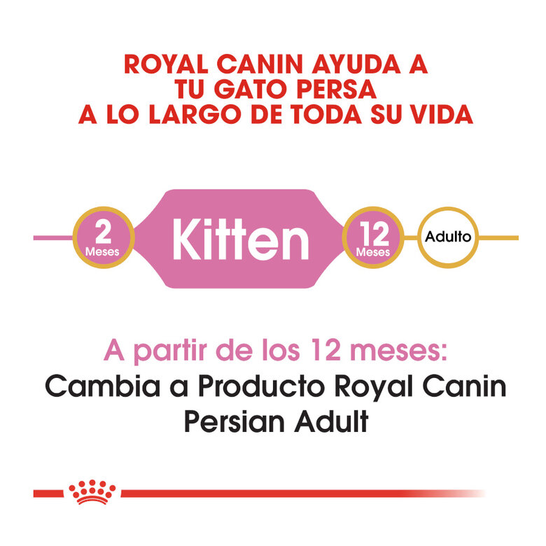 Royal Canin Kitten Persa ração para gatos, , large image number null