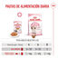 85 g Royal Canin Kitten alimento húmido em gelatina saquetas para gatinhos, , large Indicador imagem número 7