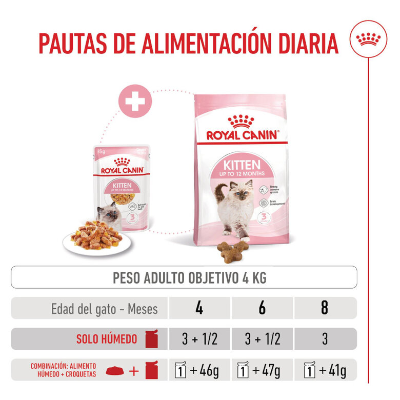85 g Royal Canin Kitten alimento húmido em gelatina saquetas para gatinhos,  Imagem número 7 85 g Royal Canin Kitten alimento húmido em gelatina saquetas para gatinhos, , large Imagem número 7