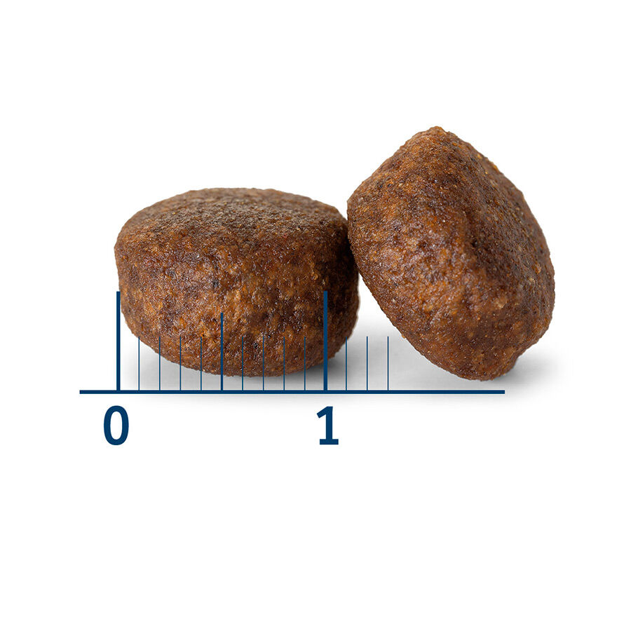 12 kg Nath Adult Medium Frango ra&ccedil;&atilde;o para c&atilde;es, , large Imagem n&uacute;mero 3