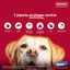 0-4 kg (4 uds.)Advantix Pipetas Antiparasitarias para perros, , large Indicador imagem número 4