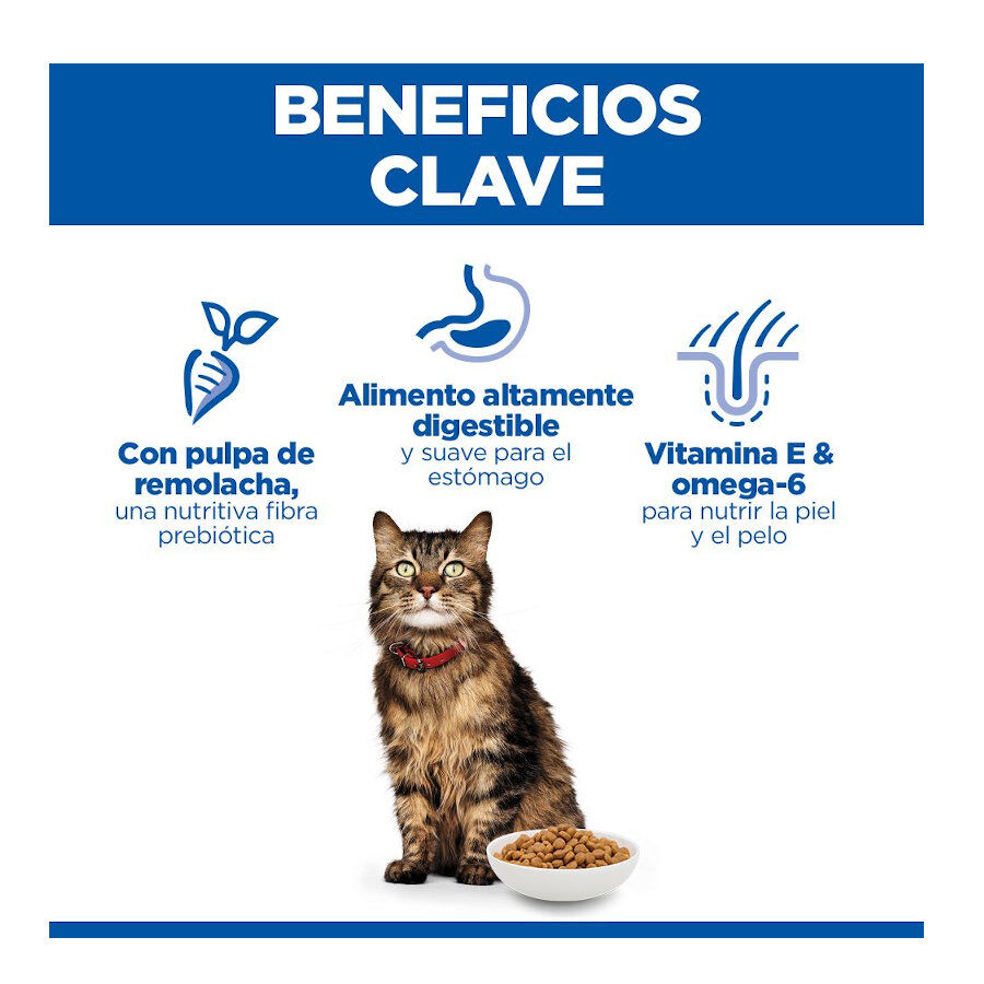 1.5 kg Hill's Adult Science Plan Sensitive Stomach Frango ra&ccedil;&atilde;o para gatos, , large Imagem n&uacute;mero 3