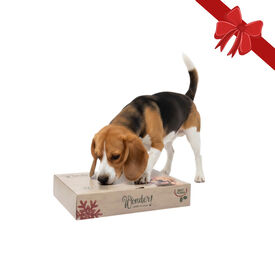 Wonder Christmas Calendário do Advento com Brinquedos de Natal para Cães