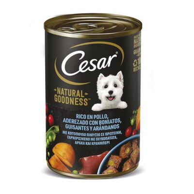 Cesar frango lata para cães