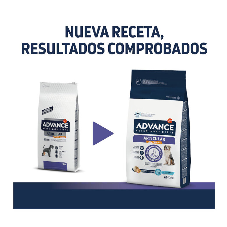12 kg Advance Veterinary Diets Articular Reduced Calories Frango ração para cães,  Imagem número 2 12 kg Advance Veterinary Diets Articular Reduced Calories Frango ração para cães, , large Imagem número 2