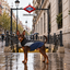 Gotoo Capa de Chuva Refletora Azul-Acinzentada para c&atilde;es, , large Indicador imagem n&uacute;mero 1